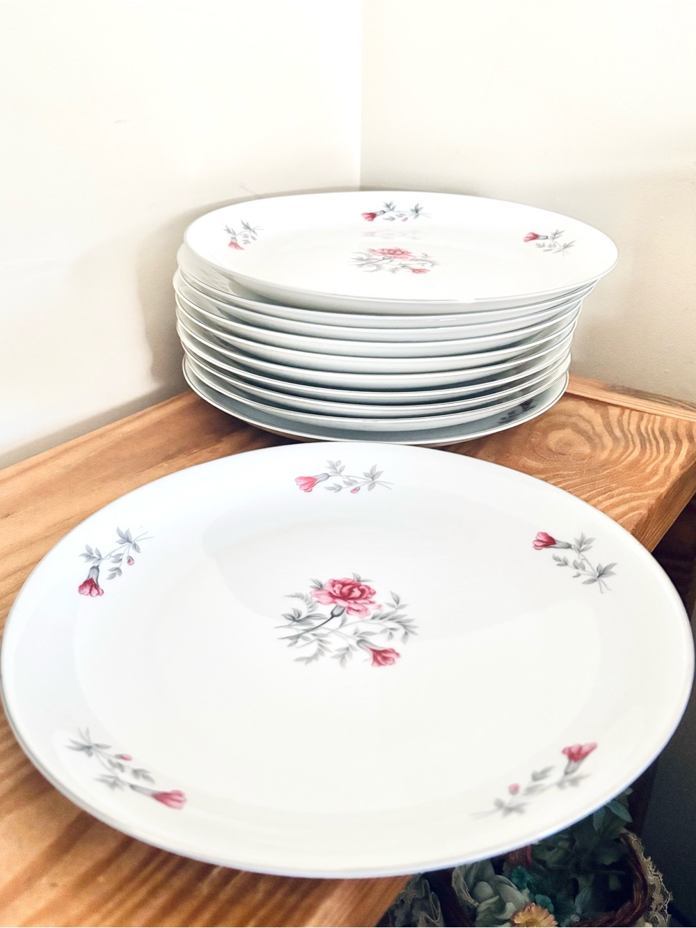 VTG 1960s Arlen Fine China Japan Petite #1562 Dinner Plates: Set of 11